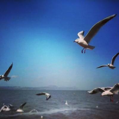 原神手游测试服下载