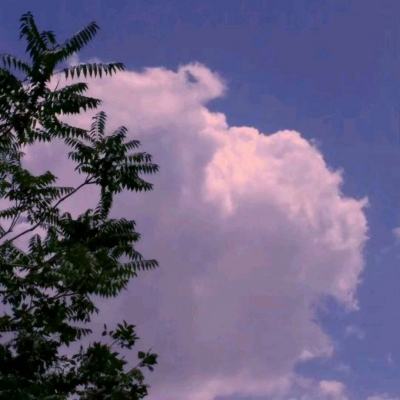 战仙诀手游百度版下载